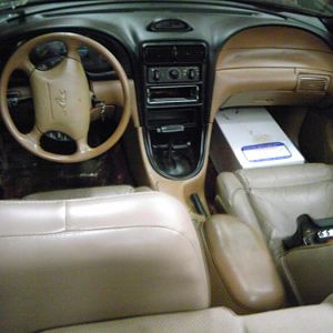 IMG00251