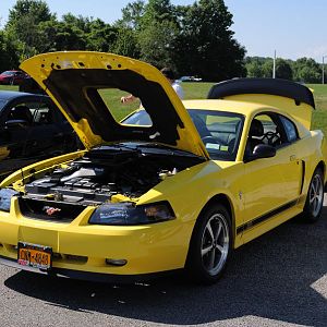 DSC 0016