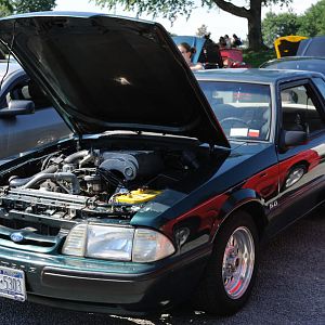 DSC 0029