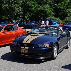 DSC 0035