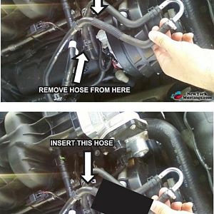 HOSES (Medium)