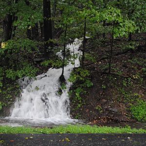 DSC 0003