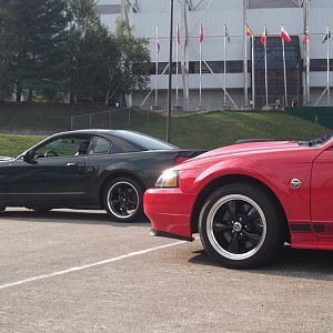 Ow Oww and 7Bullitt