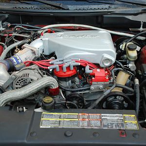 DSC 9089