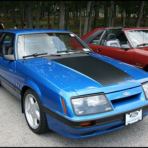 foxaque 2011