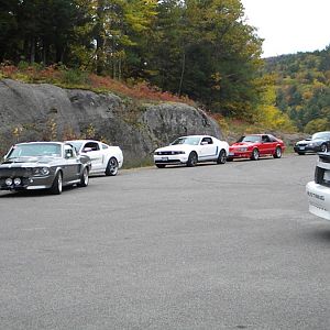 DSCN3119