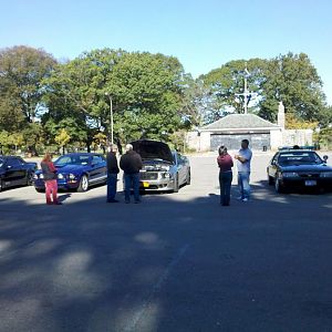 More line-up
