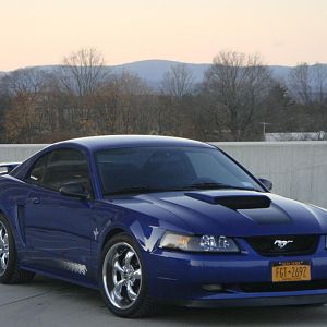 mustang