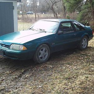 needs a bath