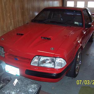 MUSTANG22 033