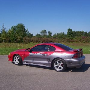 The Stang