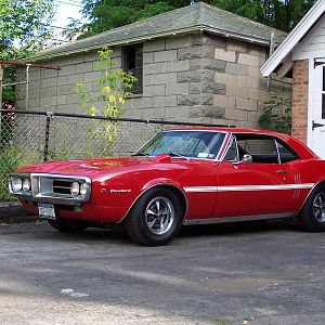 Firebird 003