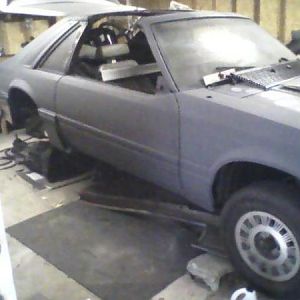 My 85Cobra Project