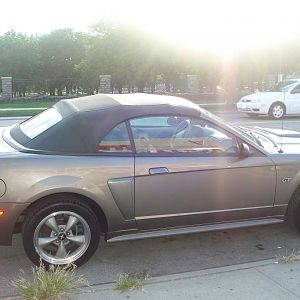 Mustang 2