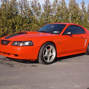 Mustang 1