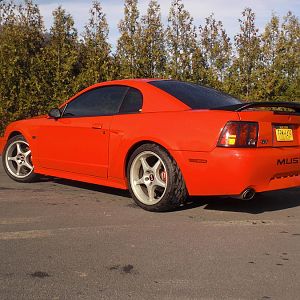 Mustang 3