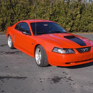 Mustang 4