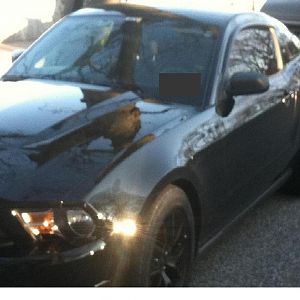 11Stang