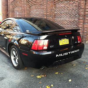 IMG 1582