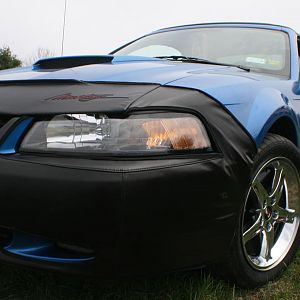 00 Mustang GT  2007