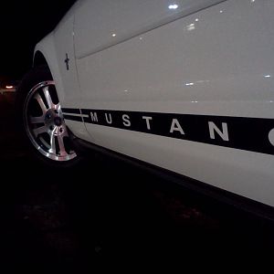 MUSTANG