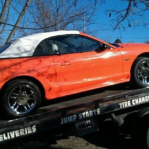 The Stang
