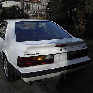 CIMG1994