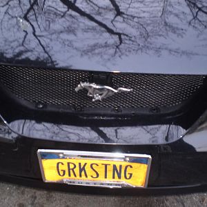 Mesh Grill
