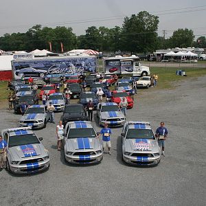 IMG 7184