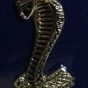 spitting snake