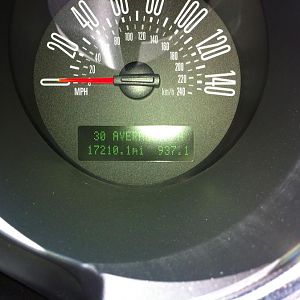 IMG 0042