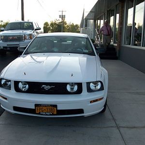at the dealer