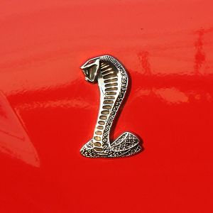 IMG 7996