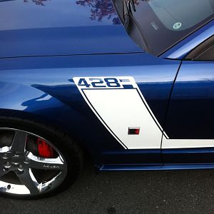 photo #23