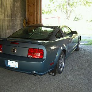 Rear