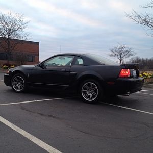 back angle