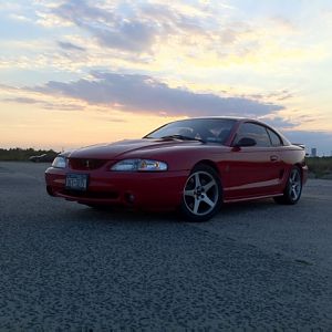 Cobra