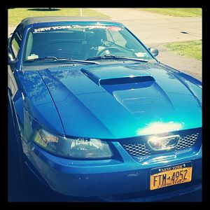 freshwax