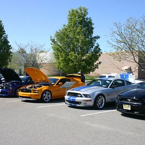IMG 2201