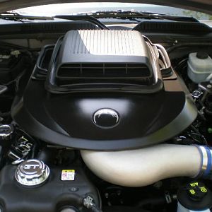 29115.jpg