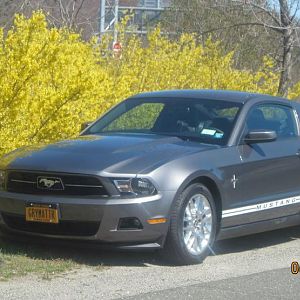 2012 Sterling Grey V6 Pony Package 
License: GRYMATTR