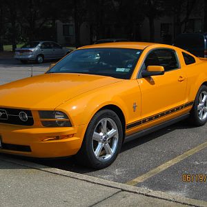 2008 Grabber Orange V6 Pony Package
License: ORNGRUSH