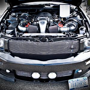 Engine Bay