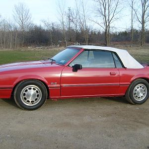 1983 5.0