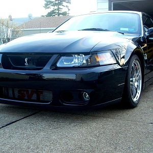 cobra 010