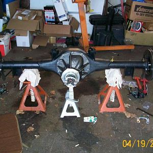 mustang 015