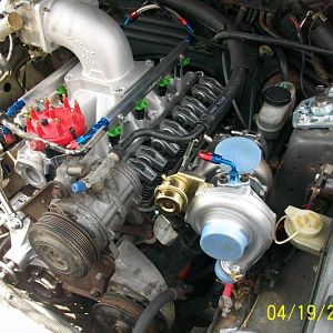 mustang 020