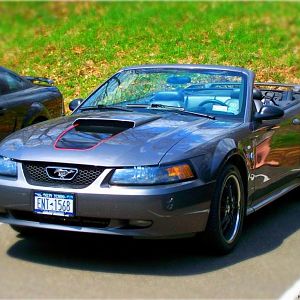 My Ride