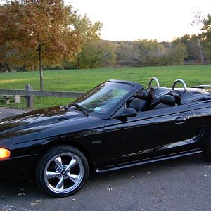 Mustang 003