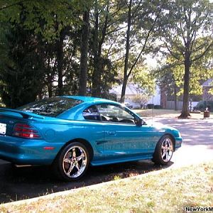 my mustang